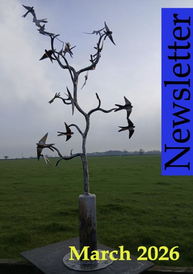 BABA Newsletter March 2026