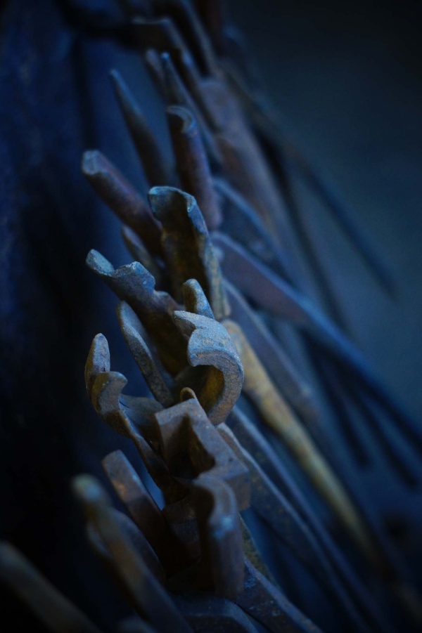 Banner Image of BABA Constitution (2025)